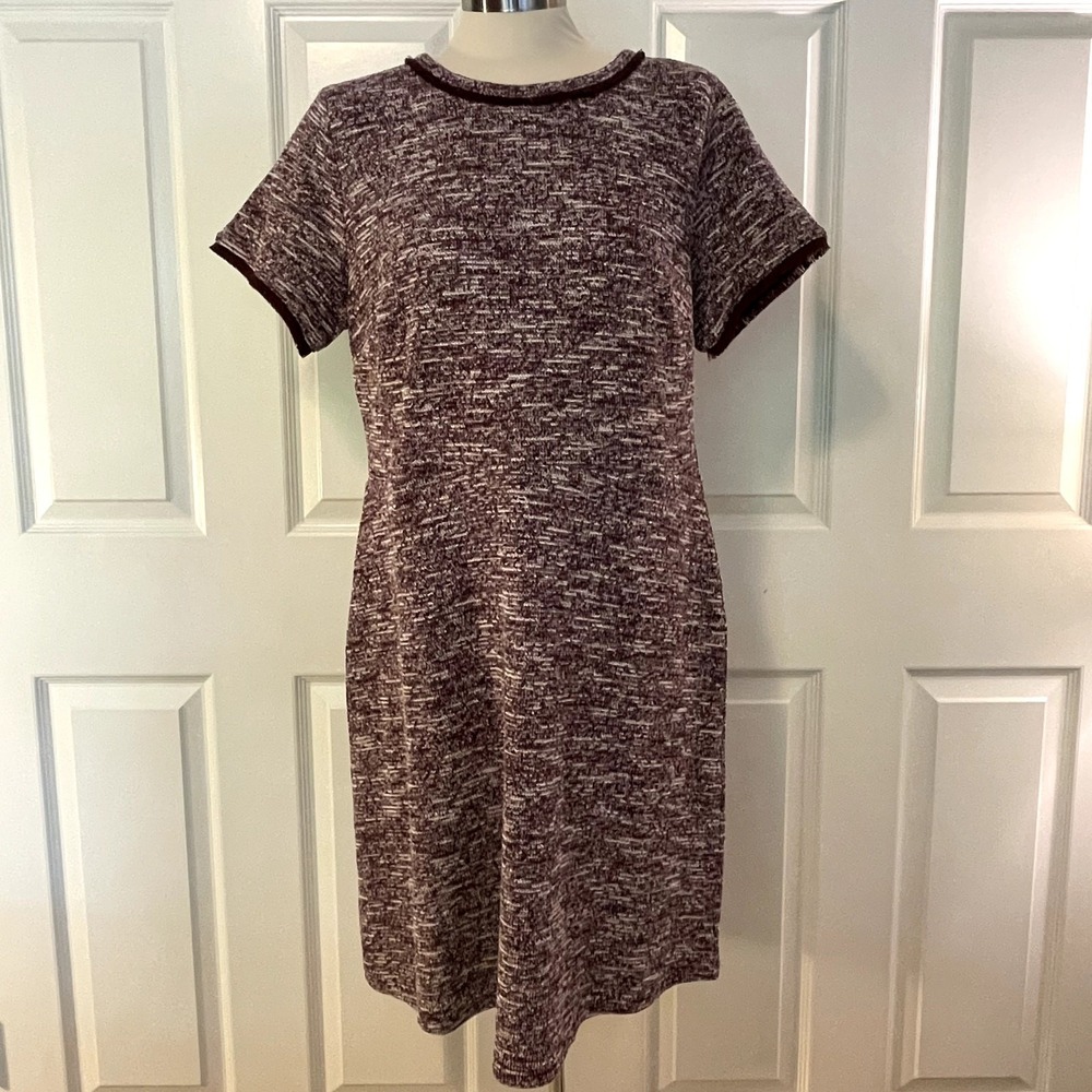 Loft Burgundy Knit Knee Length Short Sleeve Fringe Dress Womens 14